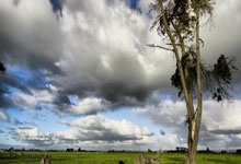 [球之夜]20250123 改破浪.：狗子28