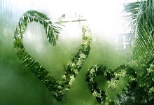 武汉女足亚冠赢球,没想到浦和红钻女足主教练因此而下课.:狗子28