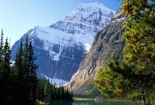 加纳乔迎来曼联生涯第100战 此前99场20球13助.