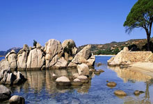 佩德里谈对阵马竞:我们现在士气更佳,唯一重要的是这场对决.